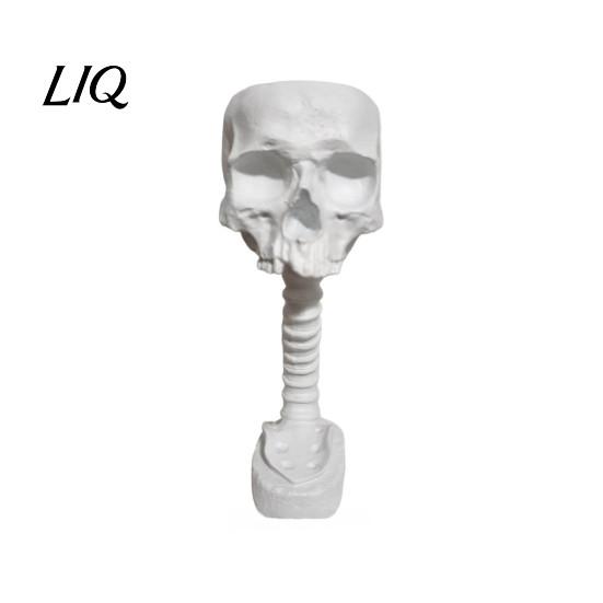 Retro Style Skull Sculpture Gothic Planter for Succulents Pothos, Creative Skeleton Flower Pot with Personalized Tattoo Shop Decor Spine Column,