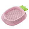 Seed Sprouting Trays Planting Hydroponics Boxes Soilless Hydroponic Cat Grass Case  Pet Supplies