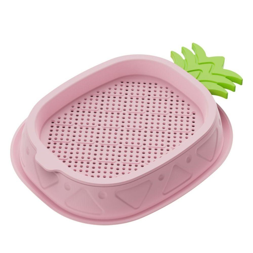 Seed Sprouting Trays Planting Hydroponics Boxes Soilless Hydroponic Cat Grass Case Pet Supplies
