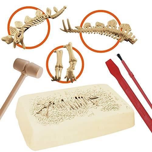 Kit De Paléontologie Stegosaurus - Explora Sciences