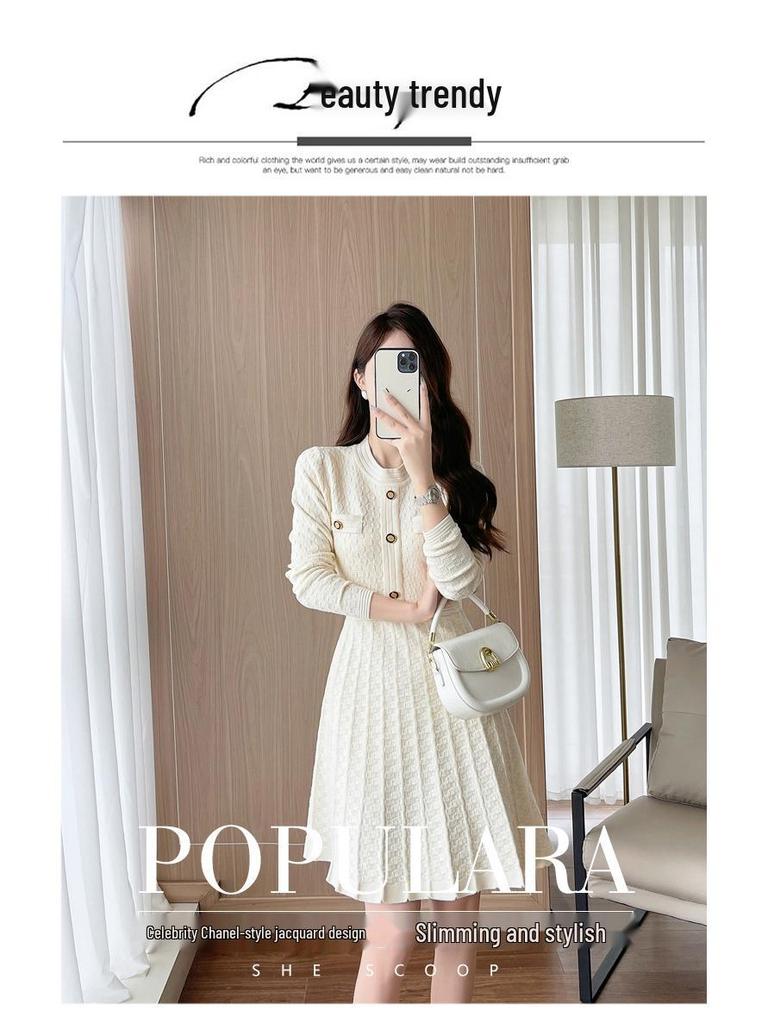 Früher Herbst 2025 Französisches High-End A-Linien Plisseekleid