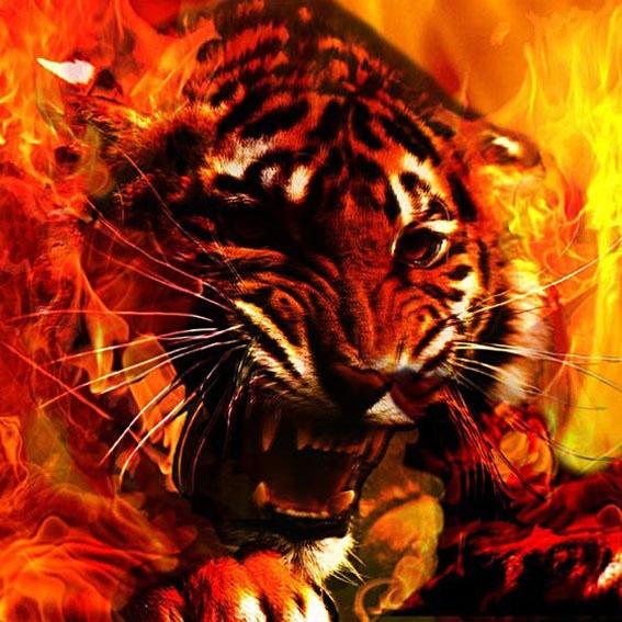 Pictură cu diamant 5D DIY, foraj complet, pătrat, peisaj, broderie cu diamante, vânzare, elfi, strasuri, mozaic, decor acasă