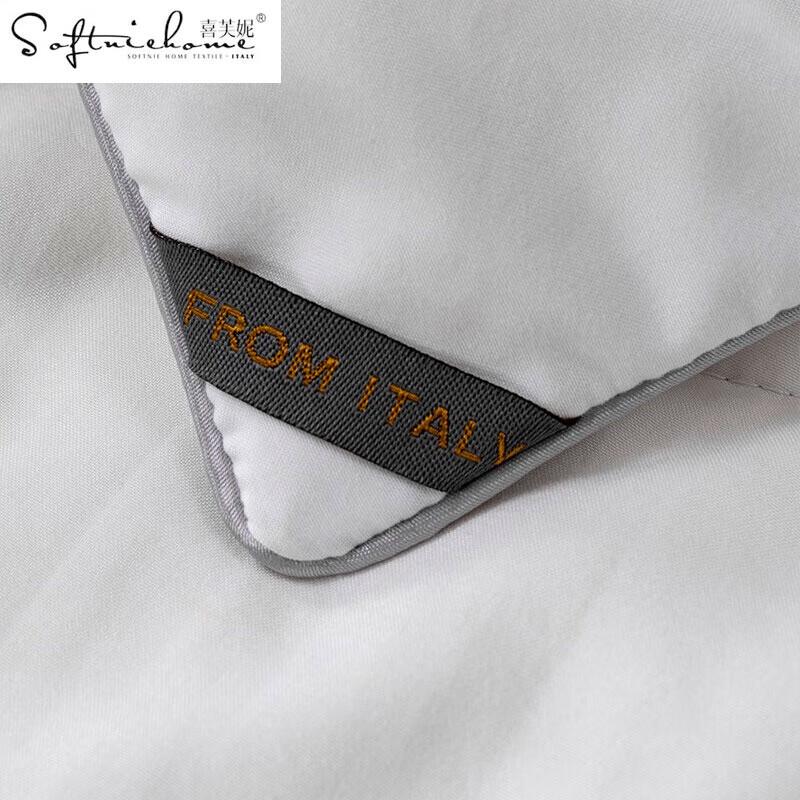 SOFTNIE Lanyue Ganzjahres-Polyesterfaser-Steppdecke