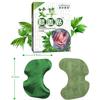 12pcs/bag New Knee Plaster Sticker Wormwood Extract Knee Joint Ache Pain Relieving Paster Knee Rheumatoid Arthritis Body Patch