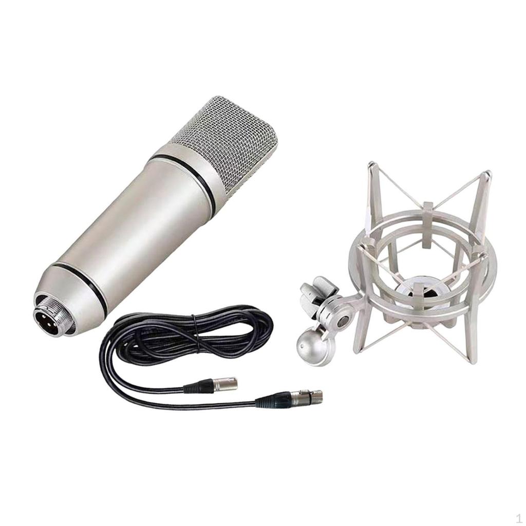 Condenser Microphone for Professional Music