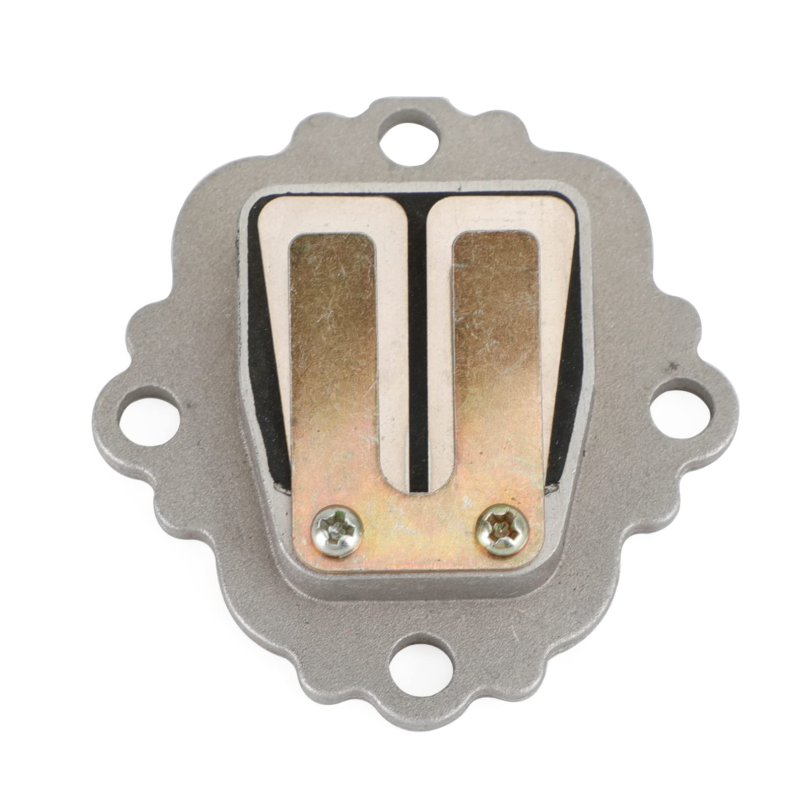 

VIPIH Reed Valve Lead Valve Set Genuine Motorcycle Parts Lead Valve System Compatible with