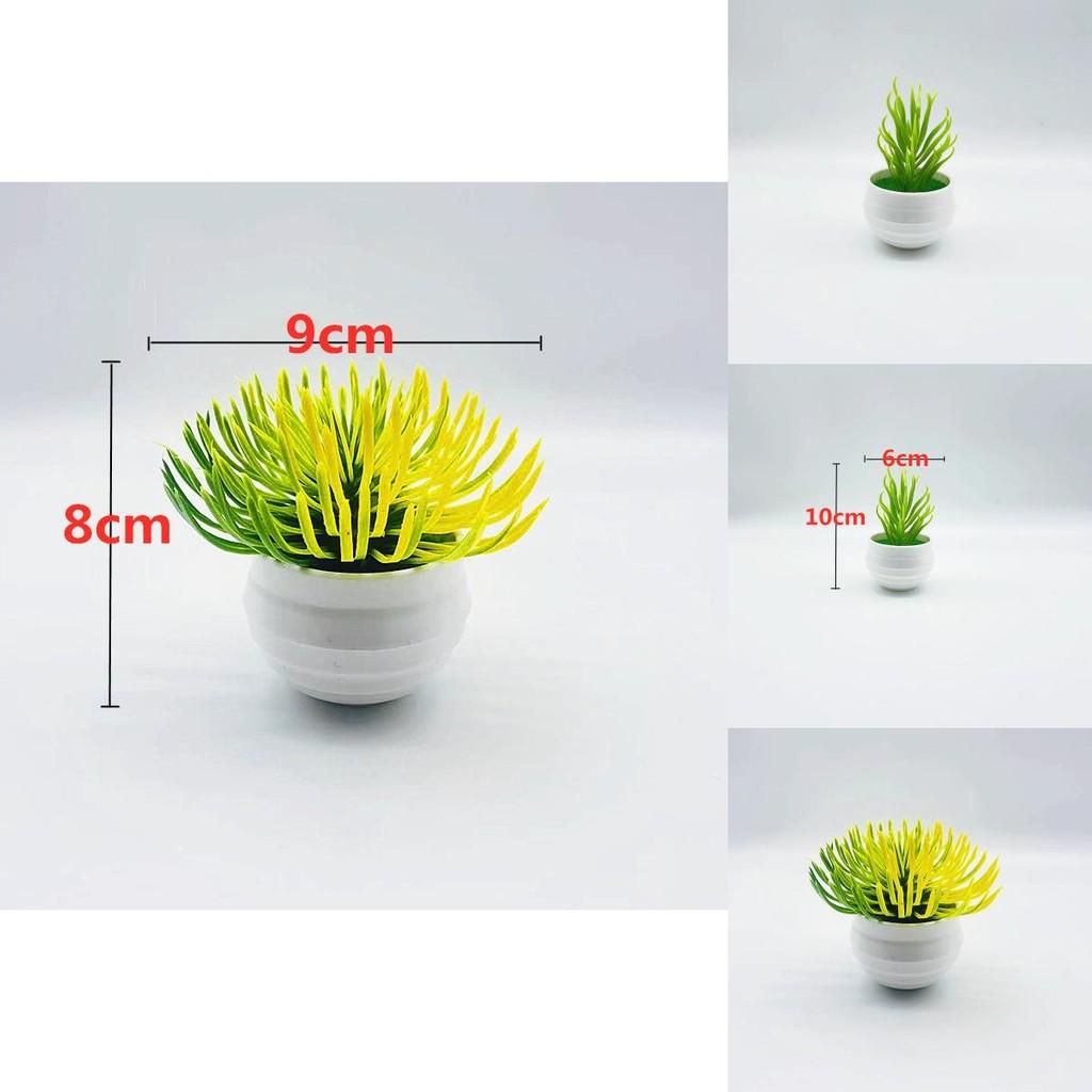 Plastic Succulent Miniature Plant Desert For Home Decor And Office Use