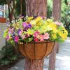 5PCS 8 Inch Hanging Flower Pots Outdoor Decorative Round Wire Plant Holder Metal Hanging Baskets for Plants