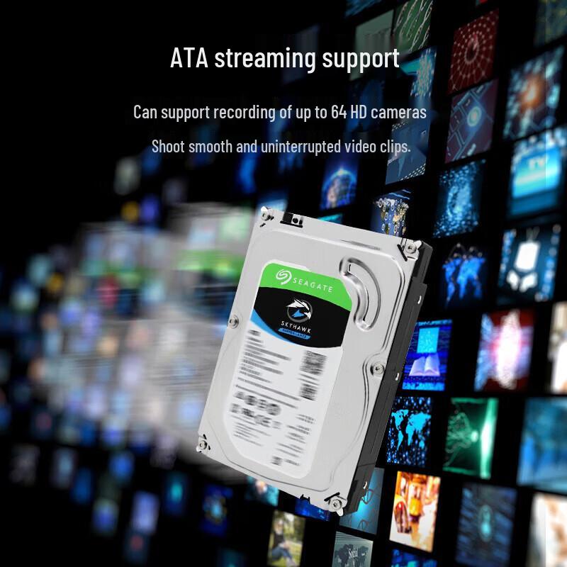 Seagate 8TB Surveillance Hard Drive