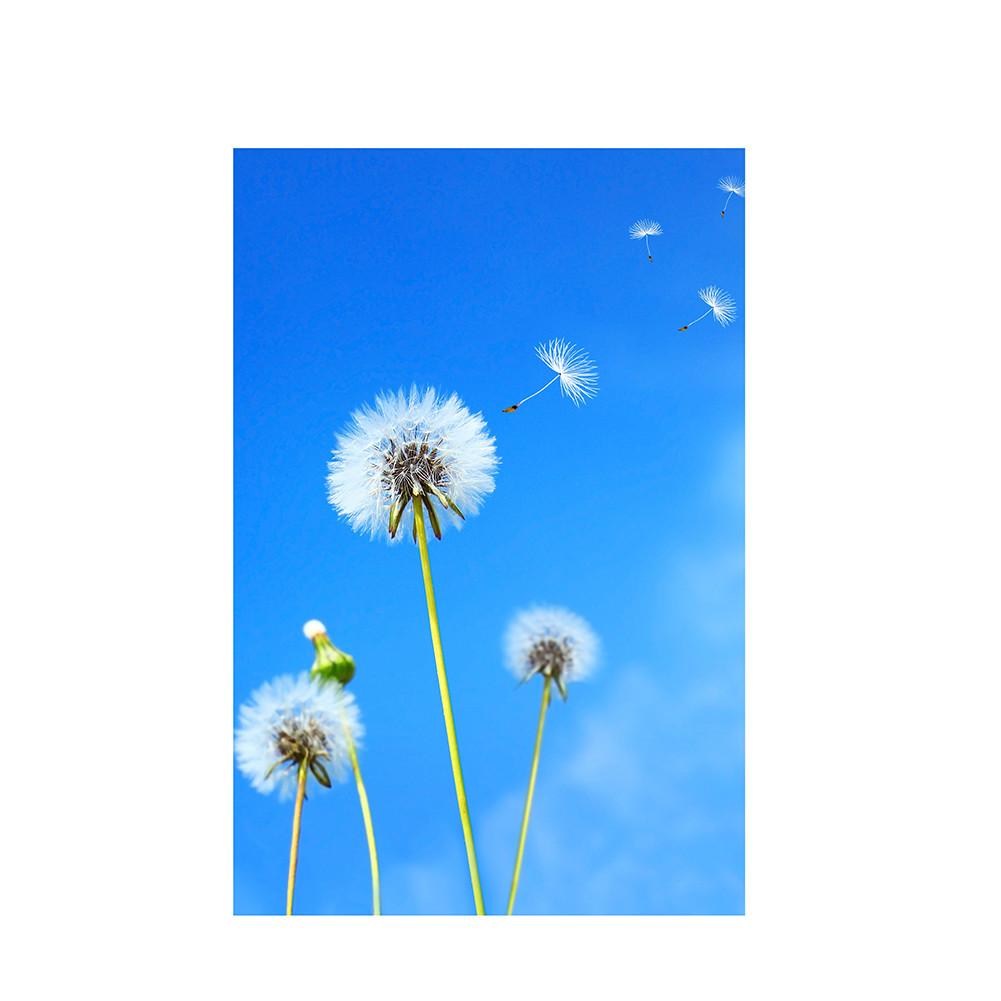 Romantic Dandelion Background Tapestry for Events,Party Banner,Home Decor,Weddings,Photo Booths