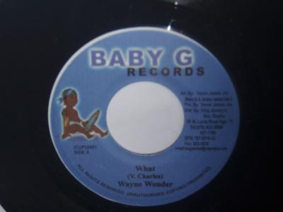 7palcová deska WAYNE WONDER - What NONE Baby G Records 2001 Jamajka Reggae, Ska & Dub Použitá