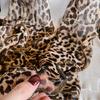 New Fashion Spring/Summer Women Leopard Print Phnom Penh Headband Chiffon Scarf Shawls Female Long Wraps Beach Sunscreen Gift