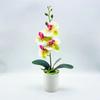 Artificial Plastic Phalaenopsis Flower Bonsai For Event Decoration Home Styling