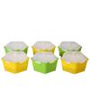 Horticultural Tool Sprouts Growing Tray Convenient Sprout Planting Helper Sprouting Tray Multi functional Reusable