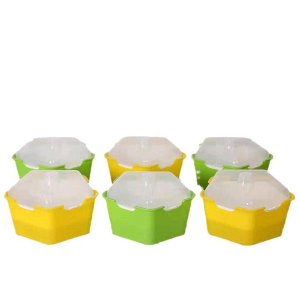 Horticultural Tool Sprouts Growing Tray Convenient Sprout Planting Helper Sprouting Tray Multi functional Reusable
