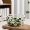 Bol de Sticlă 300ml cu Perete Dublu din Sticlă Borosilicată cu Flori Uscate Bol Decorativ Artistic pentru Supă Desert
