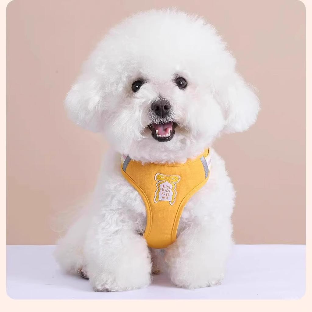 Bowknot Dog Leash Summer Cool Dog Chest Backpack Outdoor Cute Dog Walking Rope Chest Backpack(Blue-XL)