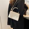Autumn and Winter Niche Design Fashion Casual Bag Women's Bag New Trend Fashion Portable Trendy Bag Small Square Bag