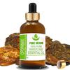 Hierbas Puras Opopónaco (Opopónax chironium) Aceite esencial de grado terapéutico puro y natural en vidrio