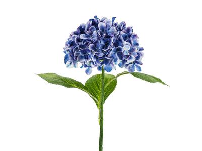 Home Decor – Decorative Flowers & Wreaths