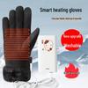 Women's Rechargeable Heated Electric Vehicle Gloves