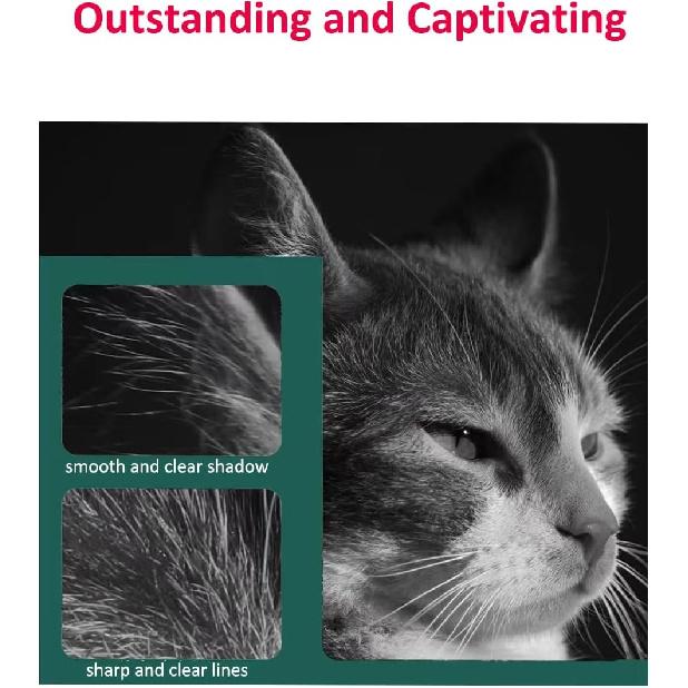 2 Black TK-5242K Toner Cartridge Compatible for Kyocera TK5242 TK-5242K 1T02R70US0 P-5026cdw M-5526cdn P-5026cdn M-5526cdw