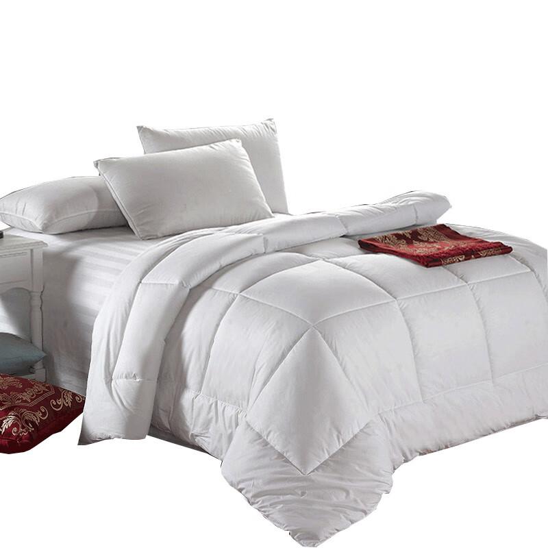 

Fucheer Borong Winter Down Alternative Comforter