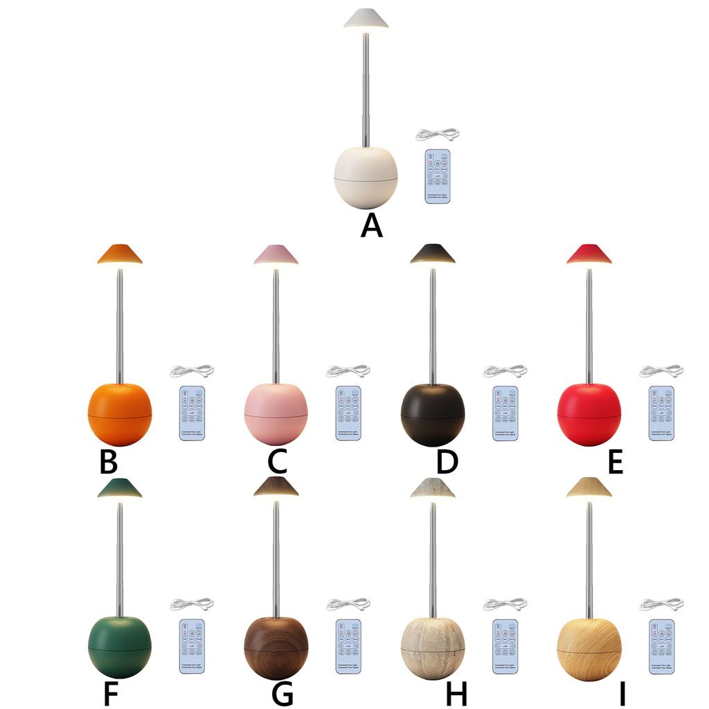 Rechargeable Touch Cordless LED Table Lamp W/Remote Control LED Table Light Desk Lamp for Bedroom Living Room Office Study