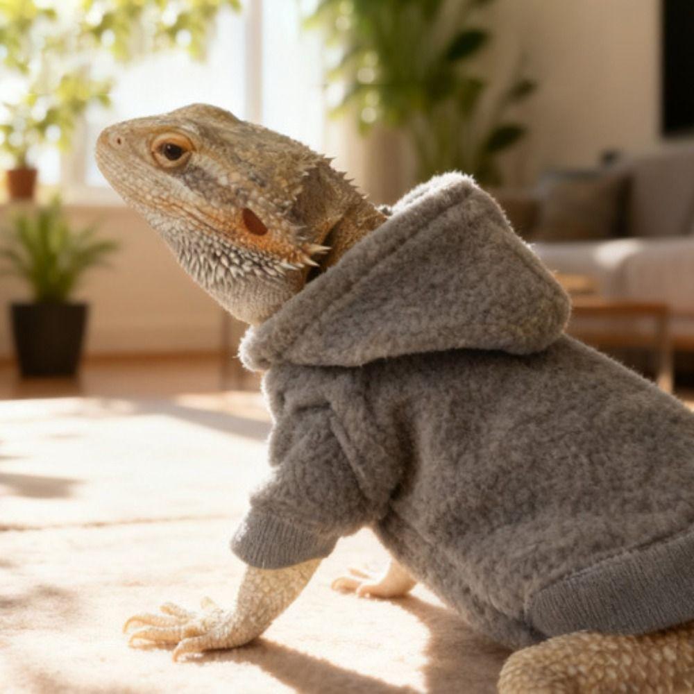 Skin Protection Lizards Clothes Handmade Reptiles Apparel Cute Bearded Dragon Hoodies  Four Seasons