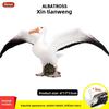 Wildlife Albatross Sparrow Bird Static Model For Kids Educational Play