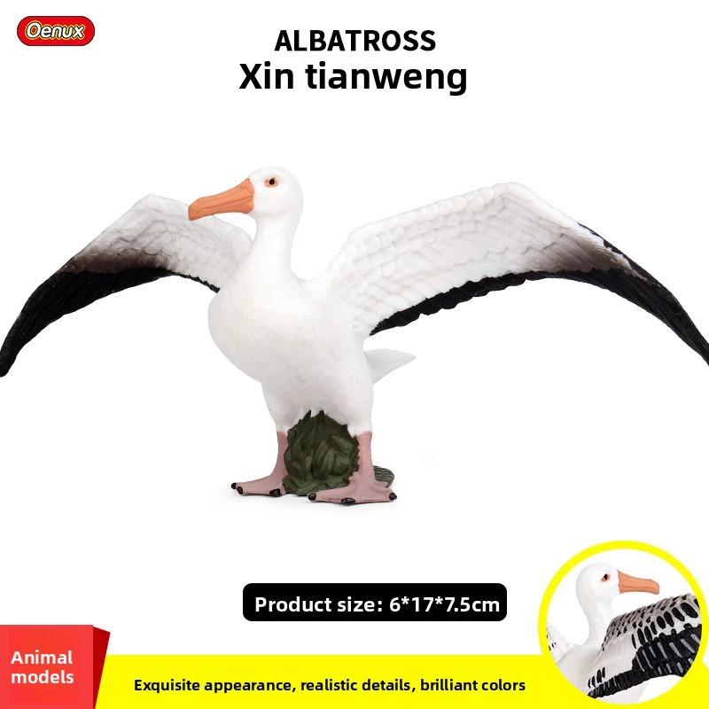 Wildlife Albatross Sparrow Bird Static Model For Kids Educational Play