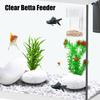 Shrimp Feeding Tube Clear Shrimp Feeder Feeding Tube Mini Bird Feeder Betta Feeder Aquarium Feeder Food Dispenser Fish Tank