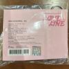 [USED] NiziU LOVE LINE soundwave mini CD key ring Rio