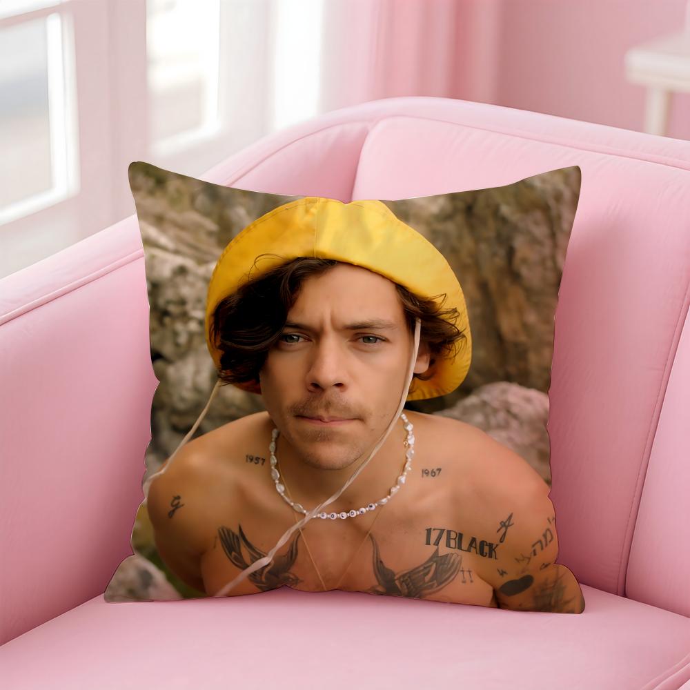 

H-Harry Styless Singer Cushion Cover Comfortable Reversible Pillow Cover Ideal For Car Sofa Bedroom & Beyond 50cmx50cm