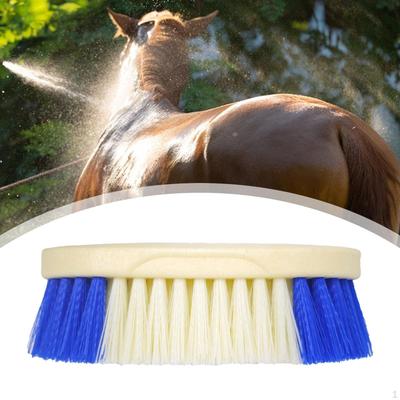 Horse Hair Cleaning Brush Ergonomic Equine Grooming Tool Barn for Equestrians