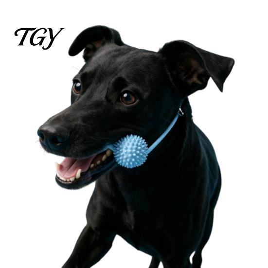 Interactive Dog Toothbrush Chew Toy, Teeth Brushing Tool with Adjustable Strap, Silicone Canine Molars Cleaning Toy Dental Prop, for Small Medium
