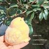 Realistic Food Shape Squeeze Toys Soft Non-Toxic Stress Reducing Fidget Toys for Office Workers Pressure Relief
