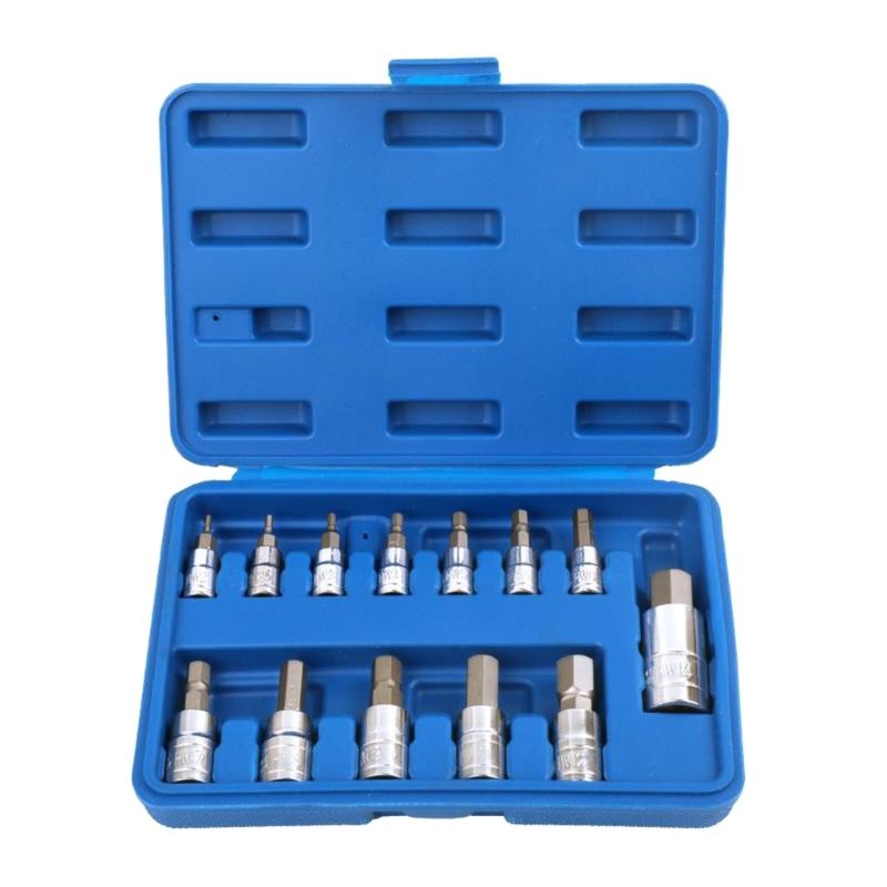 13Pcs Allen Head Hexagon Socket Set Hexagon Bit Socket Set Allen Hexagon Bit Socket Set, Metric 2-14mm Allen Socket Set