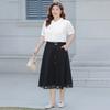 Women's Mesh Fabric A-line Skirt for Spring and Summer High-waisted Large-swing Slimming Skirt