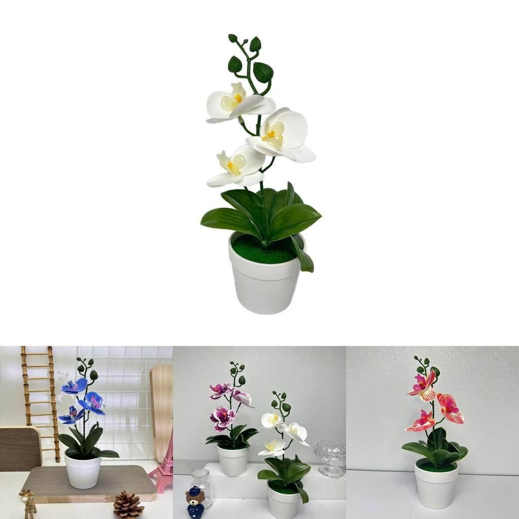 Schmetterlingsorchidee 3D Kunstpflanze mit Indoor-Dekor für Fotografie und Heimstyling
