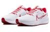 Nike Air Zoom Pegasus 40 'Bowerman Track Club' FJ2844-100