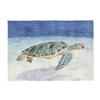 Ocean Animal Sea Turtle Placemat Non-Slip Washable Place Mat for Home Party Dining Tables Wedding Kitchen Banquets Decor