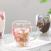 Dry Flowers Double Wall Glass Cup With Handle 350ml Double Layered Mugs Coffee Cups Heat Resistant Milk Mug Kitchen Supplies