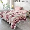 Cross-Border Ink Painting Double-Sided Flannel Blanket Shawl