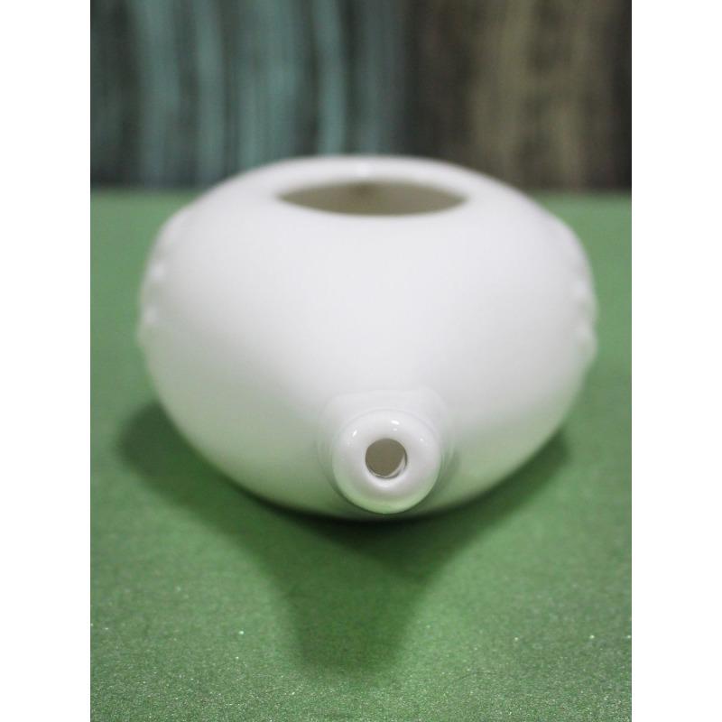 Fabricante/Irrigador de Neti Pot