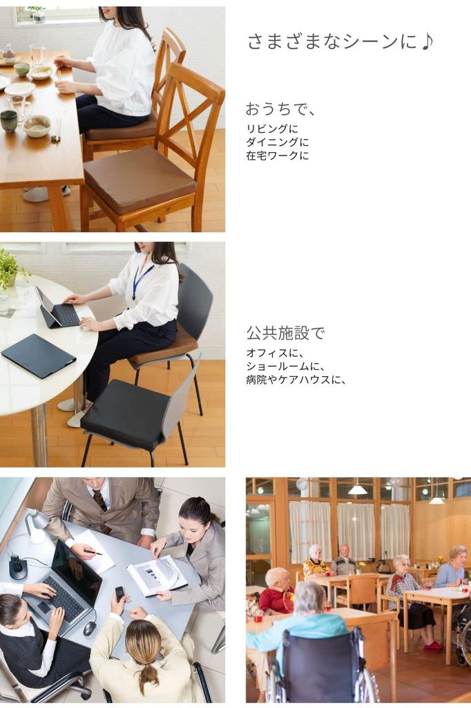 Golden Eagle Leather Made In 40x40x5 Cushion, Japan, Low-Rebound, High-Rebound Urethane, Column, (Black, 2)