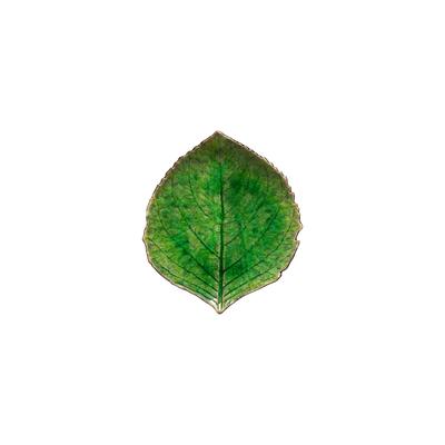 [Importé officiellement] Costa Nova Riviera TOMATE Assiette en forme de feuille d'hortensia, Petite, Env.. 17cm, Compatible Micro-ondes et Lave-vaisselle, Vert (VEP171TO)
