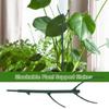 Prevent Tipping Over Climbing Vine Stake Flower Pot Trellis Garden Plant Stake  Greenhouse