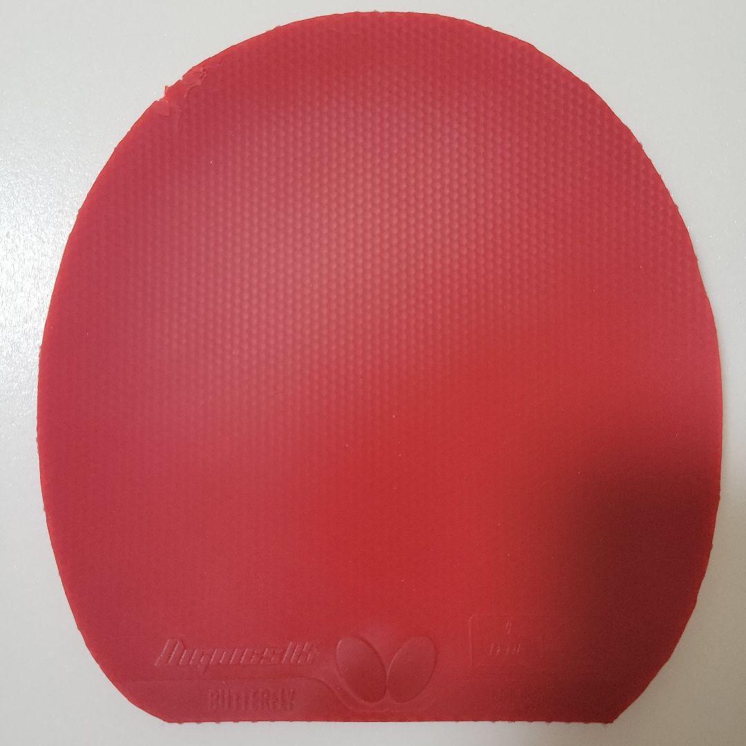 Used Dignics 05 Red Tokuatsu (used for 1 month) II