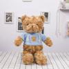 Cute Sweater Bear Plush Toy Doll Teddy Bear Doll Birthday Gift